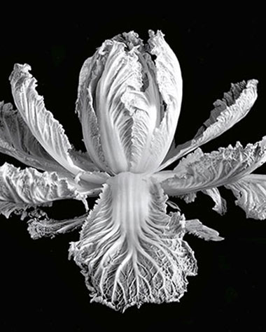 Classic images black white photography