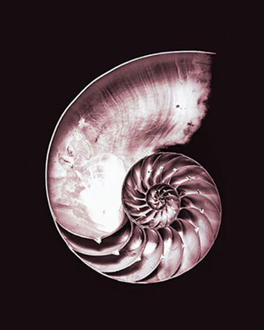 Classic images black white photography
